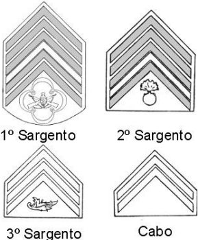 insignias